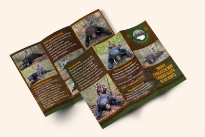 Get into the wild Brochure